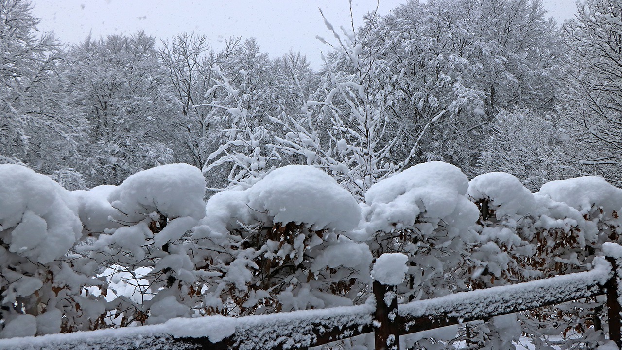 QUANTA NEVE AI RESINELLI IL FOTOSERVIZIO DI BN Ballabio News Quotidiano Online Di Ballabio